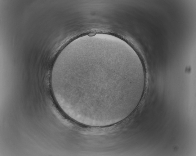 X0000115540009200912181540