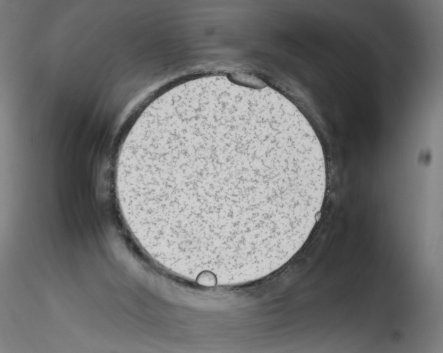 X0000115540012200912181540