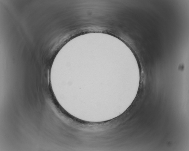 X0000115540013200912181540