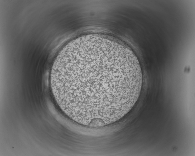 X0000115540014200912181540