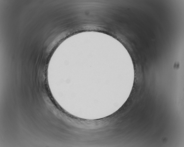 X0000115540015200912181540