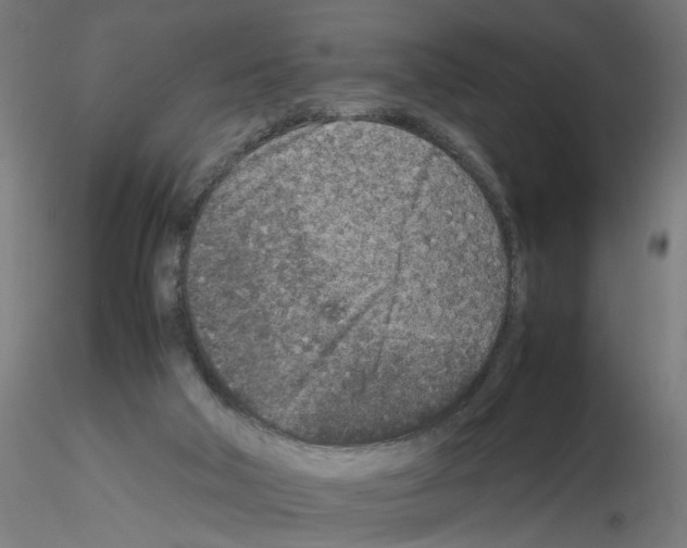 X0000115540018200912181540
