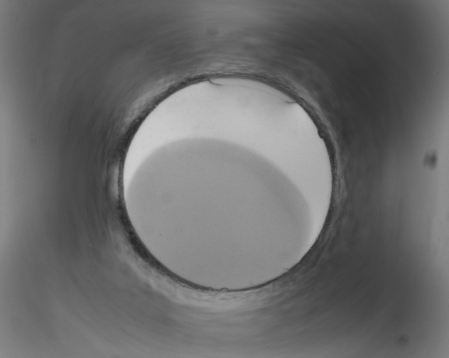 X0000115540019200912181540