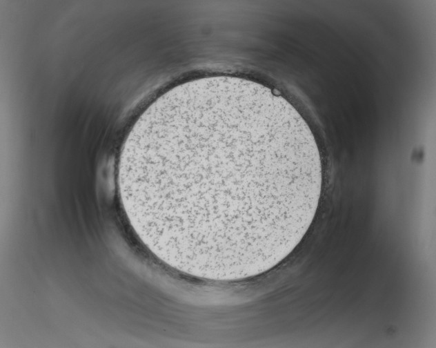 X0000115540020200912181540