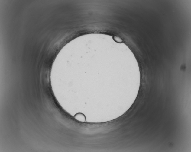 X0000115540021200912181540