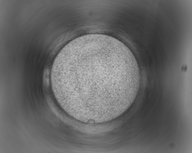 X0000115540022200912181540