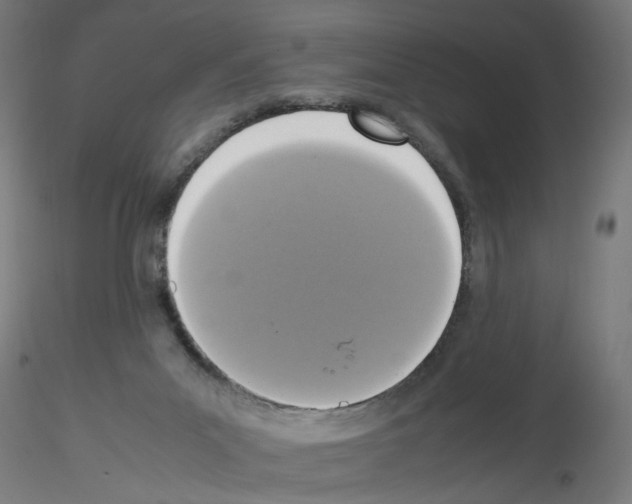 X0000115540023200912181540