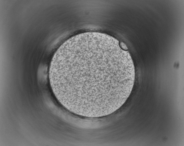 X0000115540024200912181540