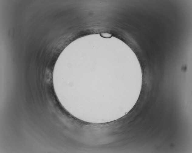 X0000115540025200912181540