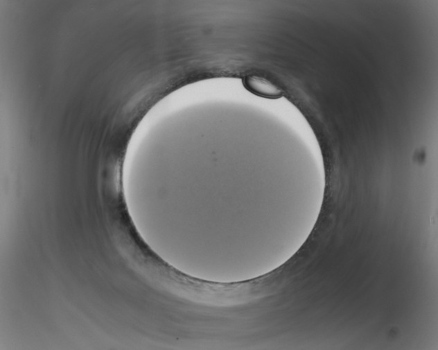 X0000115540027200912181540