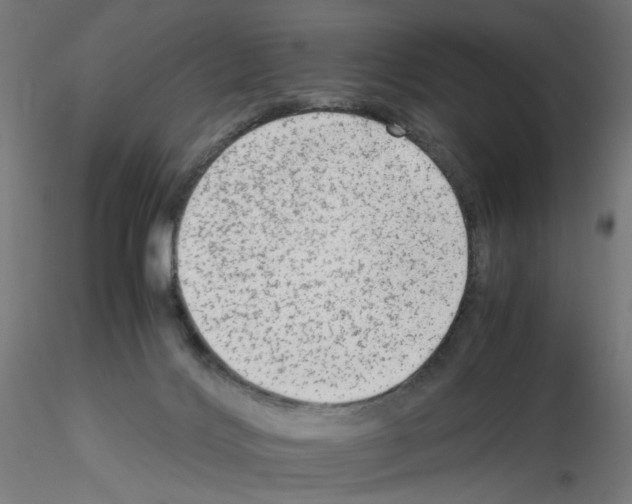 X0000115540028200912181540