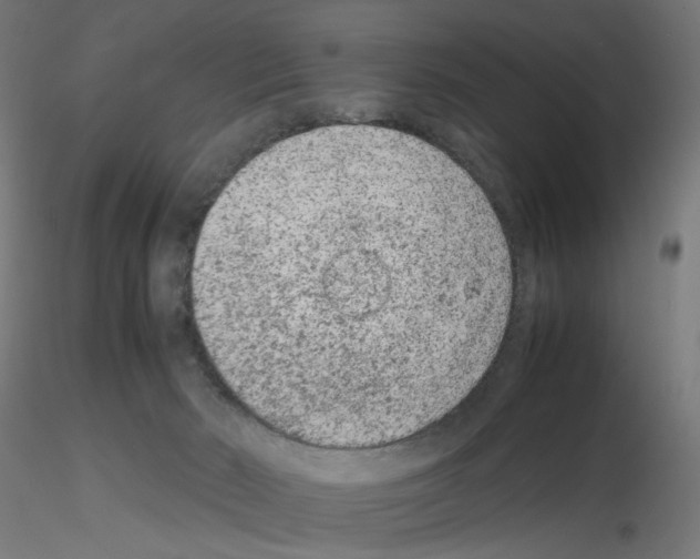 X0000115540030200912181539