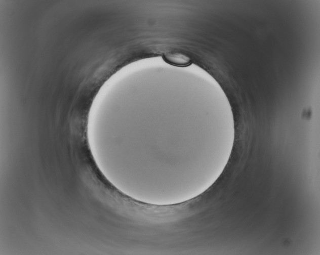 X0000115540031200912181539