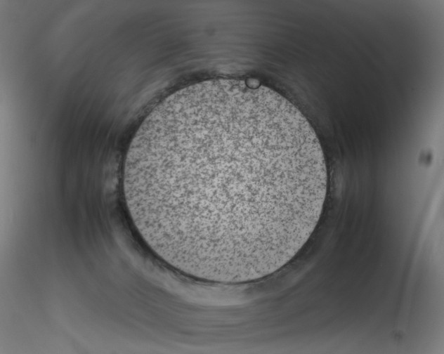 X0000115540032200912181539