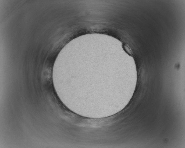 X0000115540033200912181539