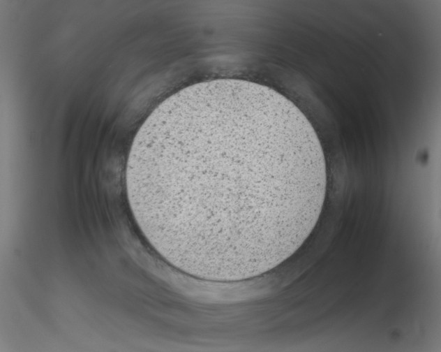X0000115540034200912181539