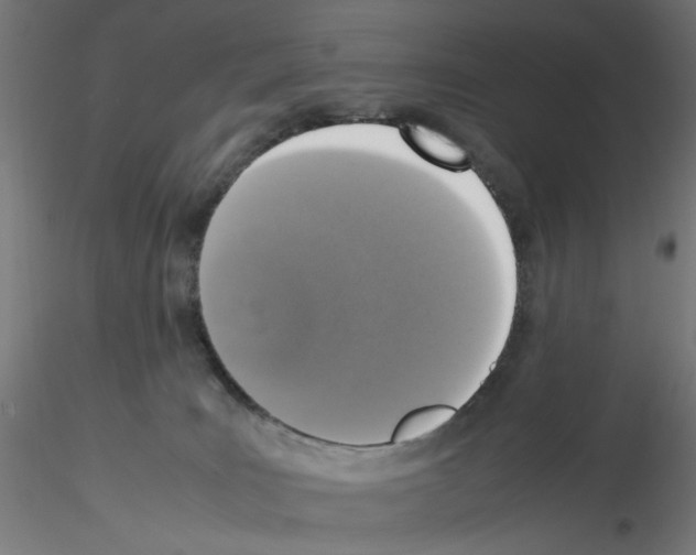 X0000115540035200912181539