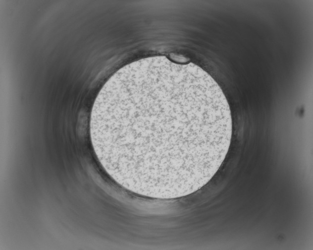 X0000115540036200912181539