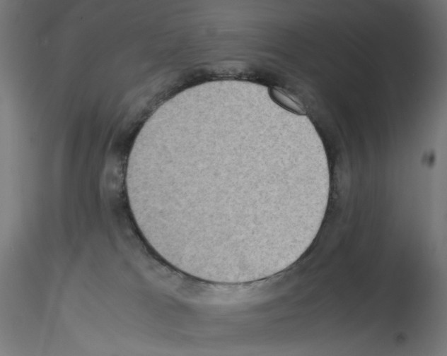 X0000115540037200912181539
