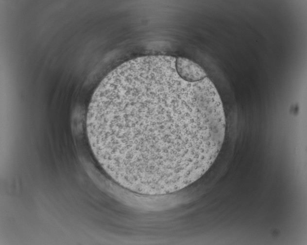 X0000115540038200912181539
