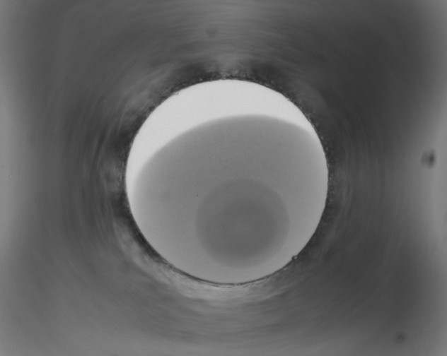 X0000115540039200912181539