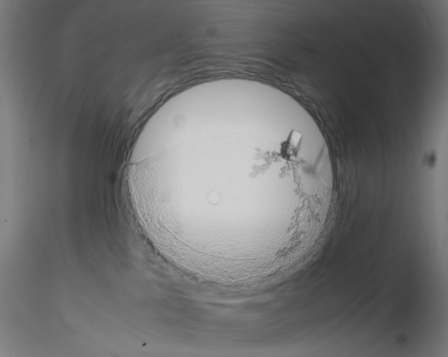 X0000115540041200912181539
