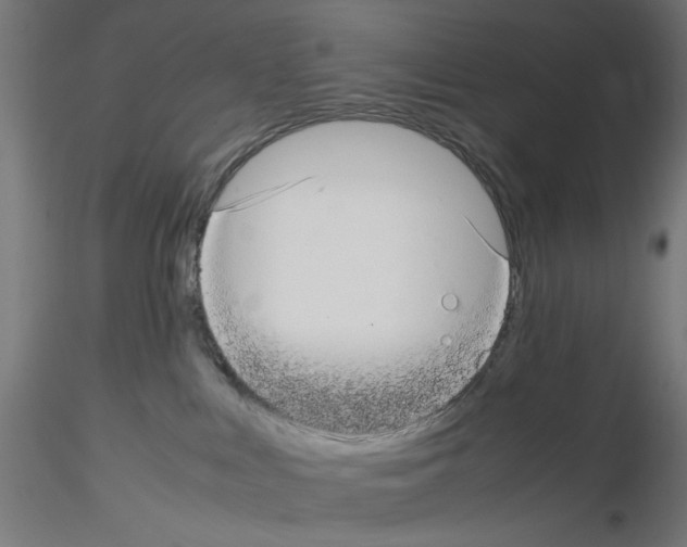 X0000115540043200912181539