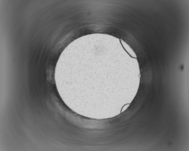 X0000115540044200912181539