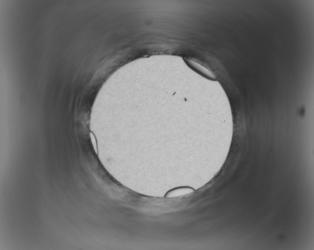 X0000115540045200912181539