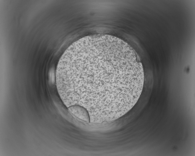 X0000115540046200912181539