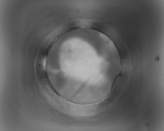X0000115540047200912181539