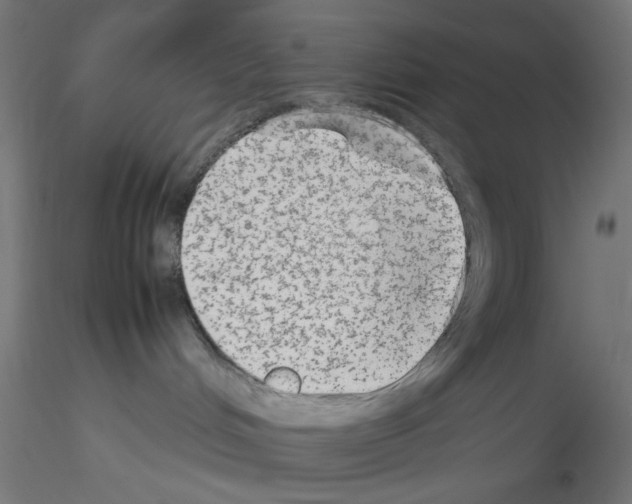 X0000115540048200912181539