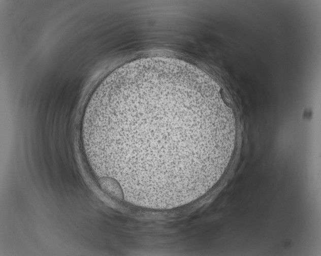 X0000115540049200912181539