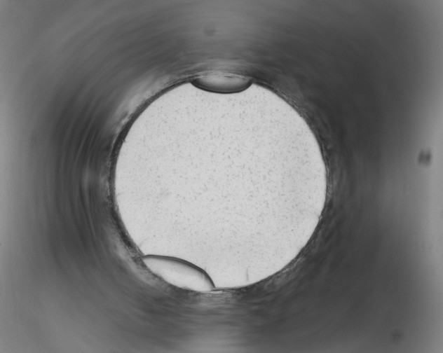 X0000115540050200912181539
