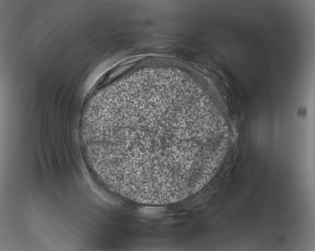 X0000115540051200912181539