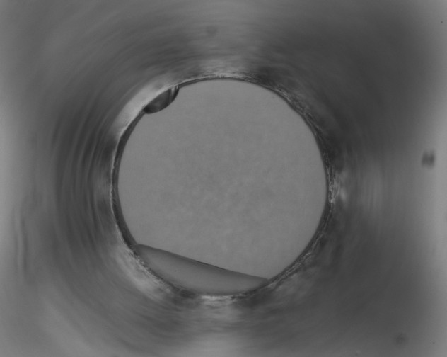 X0000115540052200912181539