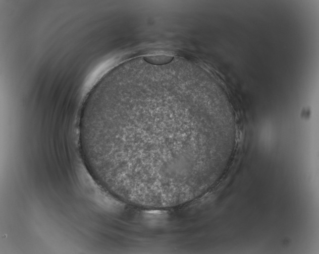 X0000115540053200912181539