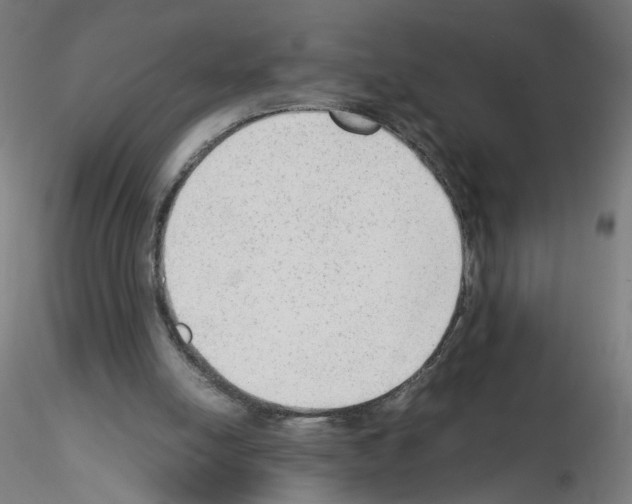 X0000115540054200912181539