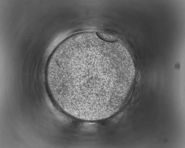 X0000115540055200912181539