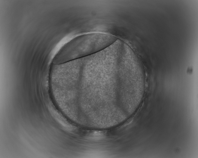 X0000115540056200912181539