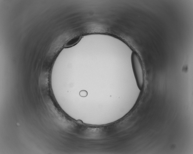 X0000115540057200912181539