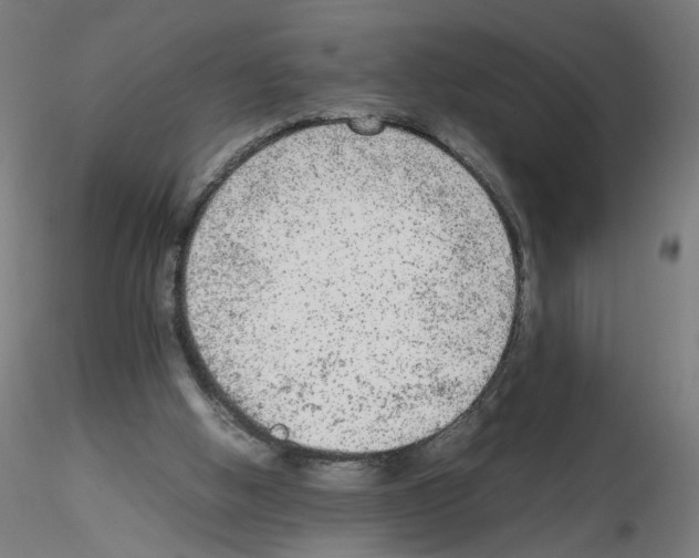 X0000115540058200912181539