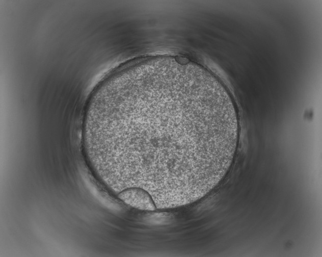 X0000115540059200912181539