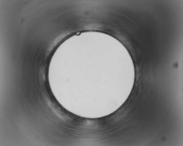 X0000115540060200912181539