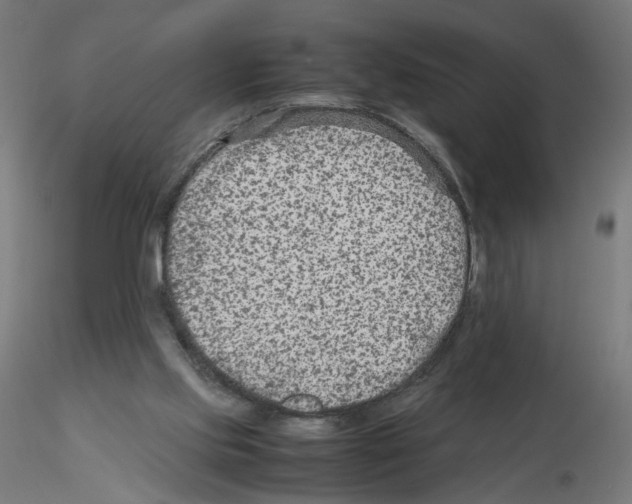X0000115540061200912181539