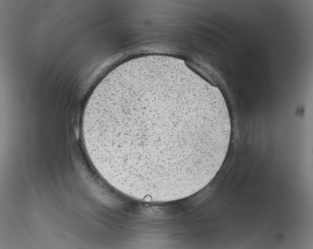 X0000115540062200912181539