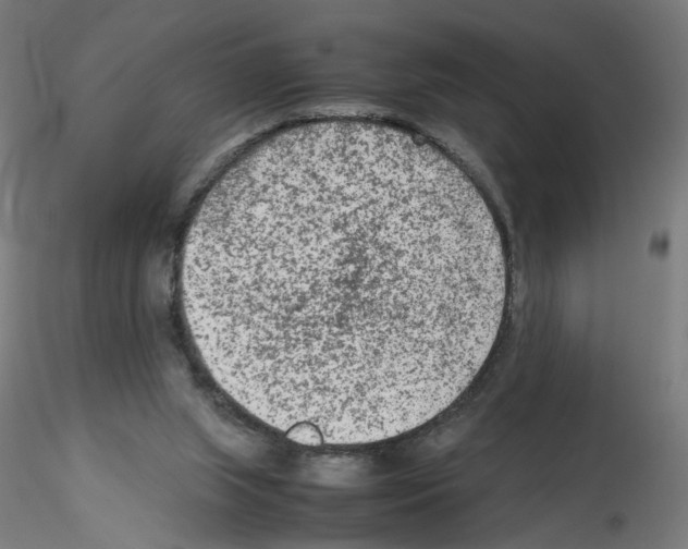 X0000115540063200912181539