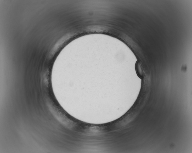X0000115540064200912181539