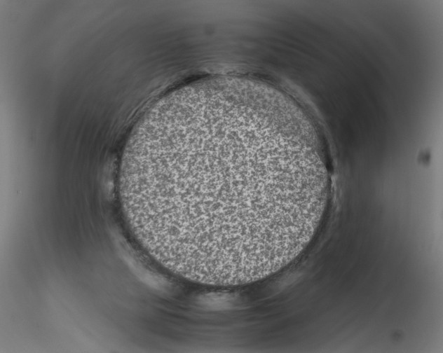 X0000115540065200912181539