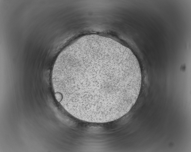 X0000115540066200912181539